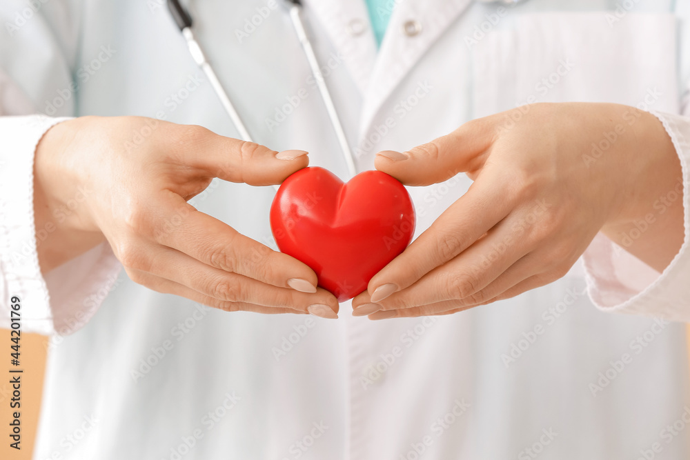 Female cardiologist with red heart, closeup Female cardiologist with red heart, closeup