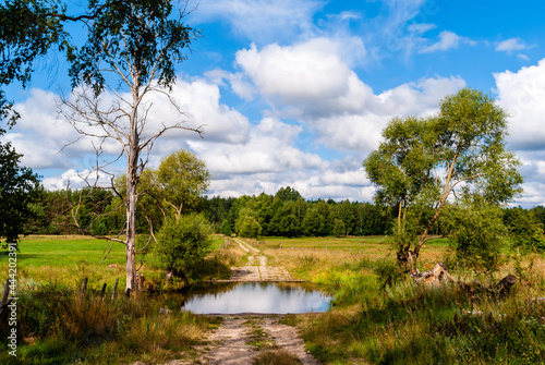 Lato w Dolinie Górnej Narwi, Podlasie, Polska