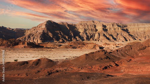 Evening landscape of the Arava desert in red colors photo