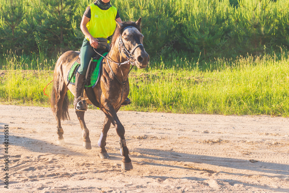Competitor rival girl riding horse in summer field meadow.Young rider gallops through the summer sunny day.