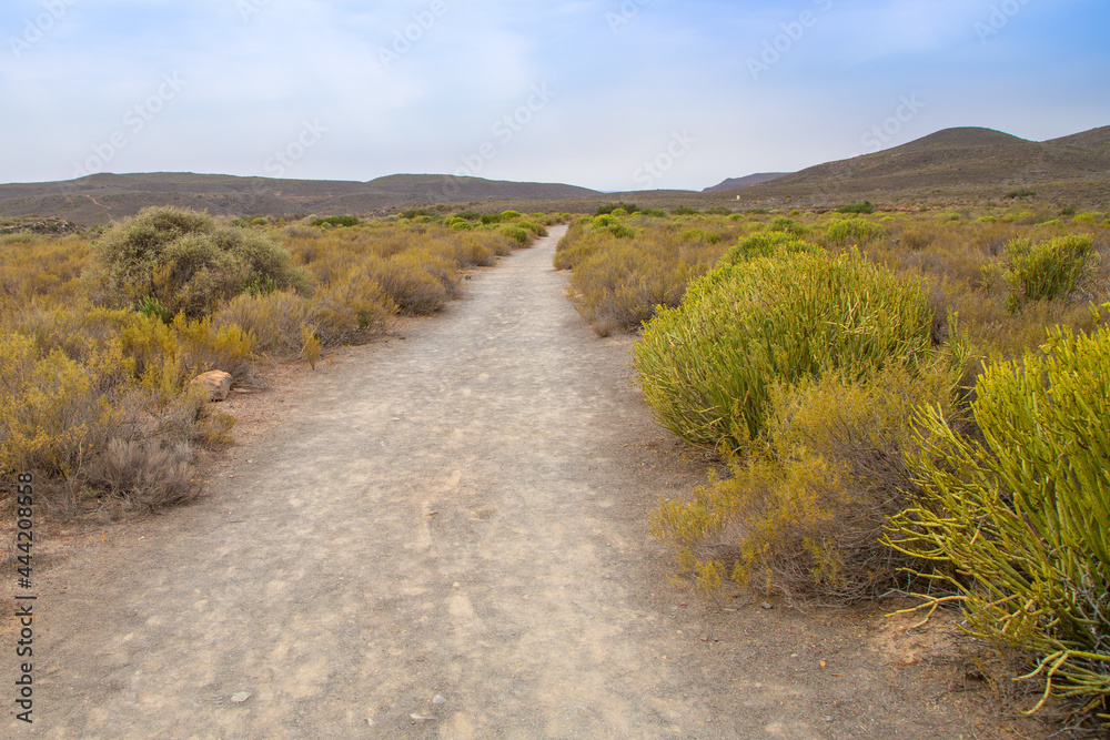 Road leading to the Nieuwoudtville Waterfall in the Northern Cape of South Africa