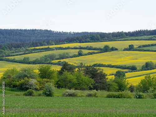 Landschaft im Sommer