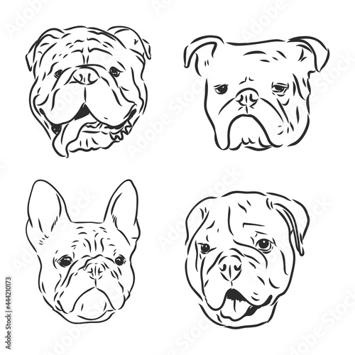 Dogs characters doodle sticker english bulldog. Funny animals isolated set