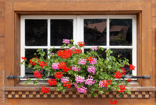 window with flowers