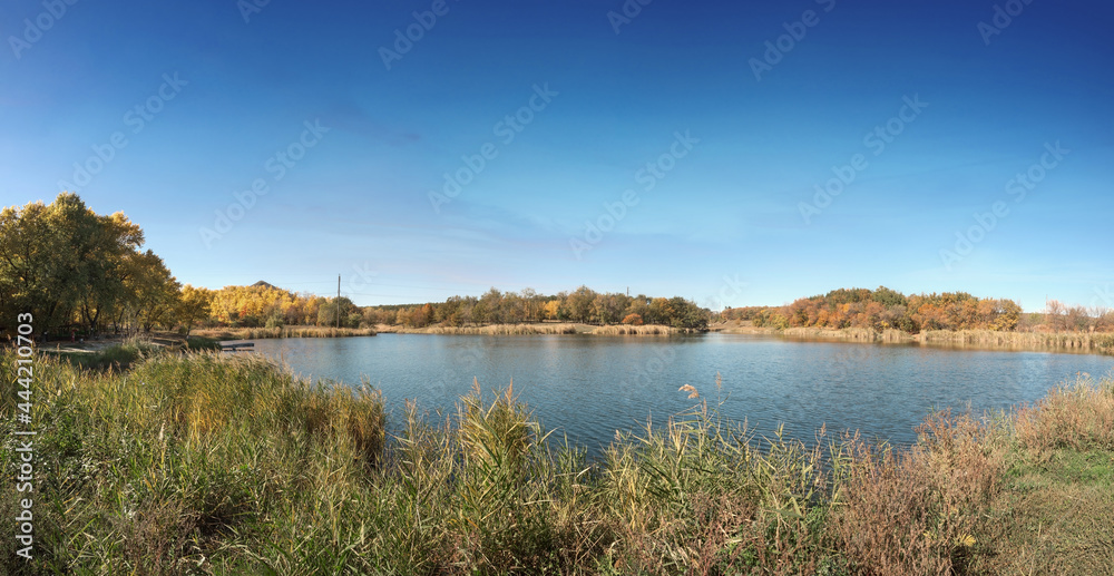 A beautiful pond in a forested area with aquatic plants and trees on the shore under
  cloudy summer sky with white clouds 
