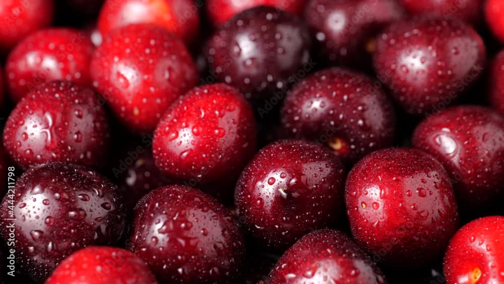 Sweet cherry with water drops, as background. Close up view. Rotating on a table. Sweet cherry with water drops, as background. Close up view. Rotating on a table.