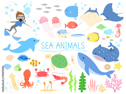 Sea animals vector illustration set.