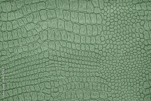 Background image - artificial textured crocodile skin green
