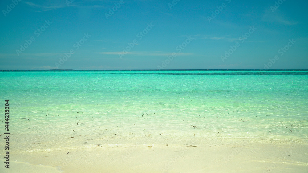Coast with Sandy beach and turquoise water. Bohol, Panglao island, Philippines. Summer and travel vacation concept.