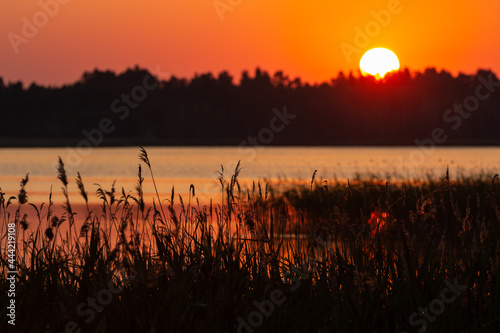 A bright quiet sunrise over a forest lake and reed thickets on the shore