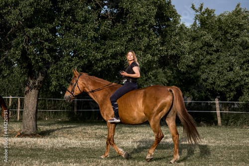 Portrait of full-length rider on brown horse against rural landscape on summer evening. Sports and health. Horseback riding. Life in nature.