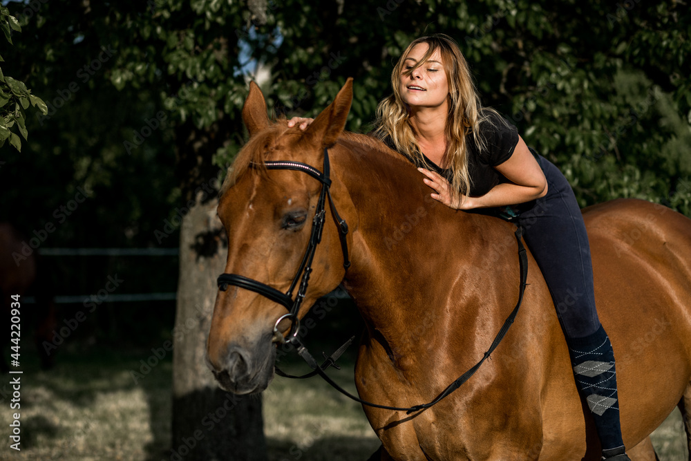 Beautiful young woman riding beautiful well-groomed horse on summer evening. Concept of beauty and health. Active recreation. Equestrian sports. Enjoying life.