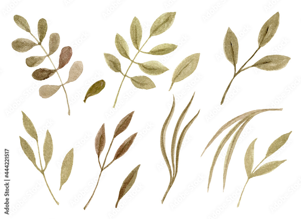 Hand drawn watercolor painting clipart with greenery branches isolated on white background. Floral greens set. Design element clip art.