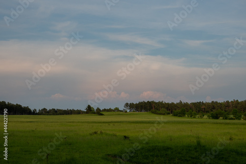 Landschaft im Sommer