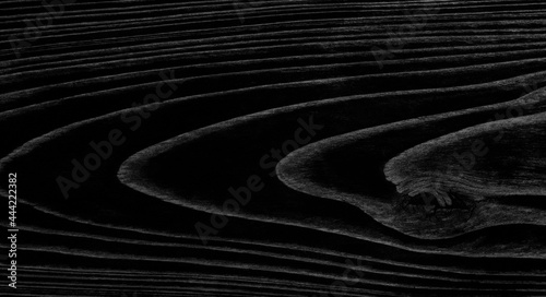abstract black and white wood texture background
