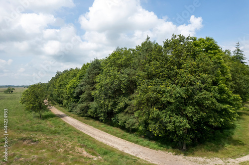 Aerial view of a sandy path along the edge of the forest. Picture taken by a drone from above a picturesque landscape. Impressive blue sky  view of the surroundings