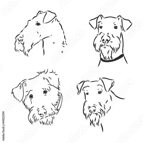 Airedale Terrier Dog. hand drawn. Vector illustration