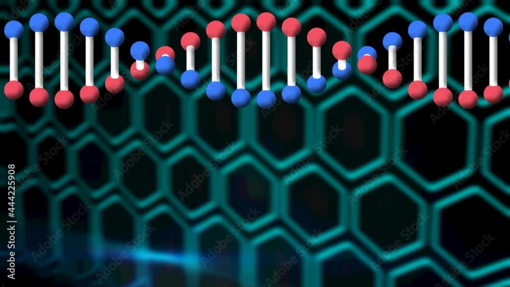 Animation of rotating dna strand over navy background Animation of rotating dna strand over navy background
