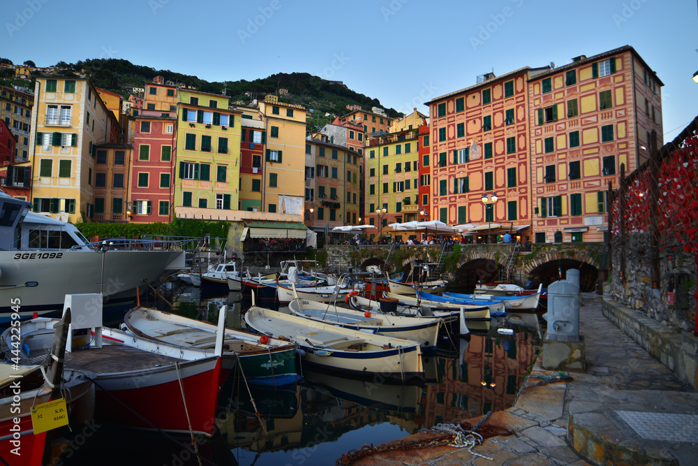 characteristic colored Ligurian houses in Camogli overlooking the small sea port
