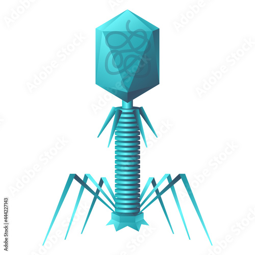 3D complex virus - moonlander shaped structure