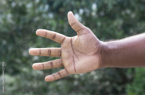 Men stretching hand to a handshake with other or holding something on soft green bokeh background © Xookits