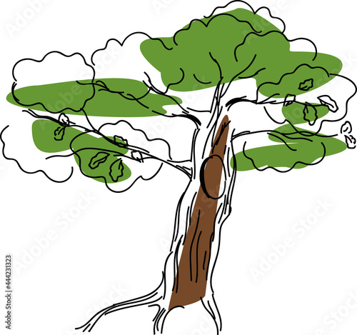 Sketch of oak tree with hollow