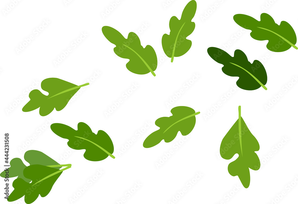 Cartoon green oak leaves isolated on white background