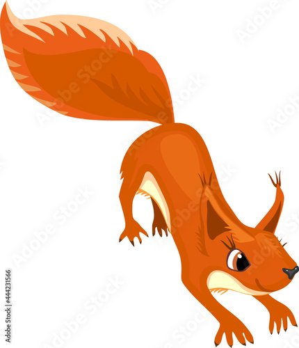 Cartoon red squirrel isolated on white background