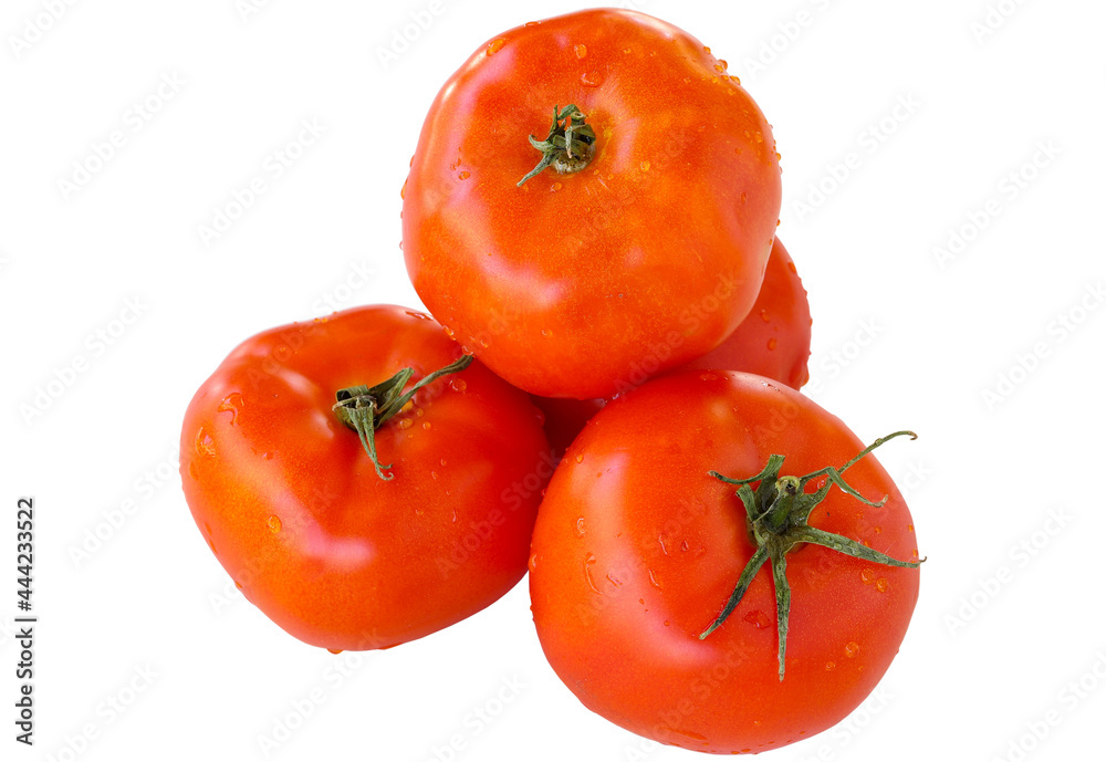 ripe red tomatoes isolated on a white background. Tomatoes Clipping Path ripe red tomatoes isolated on a white background. Tomatoes Clipping Path