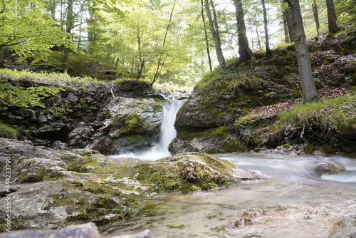 Fototapeta Naklejka Na Ścianę i Meble -  Kesselberg Wasserfall in Kochel am See