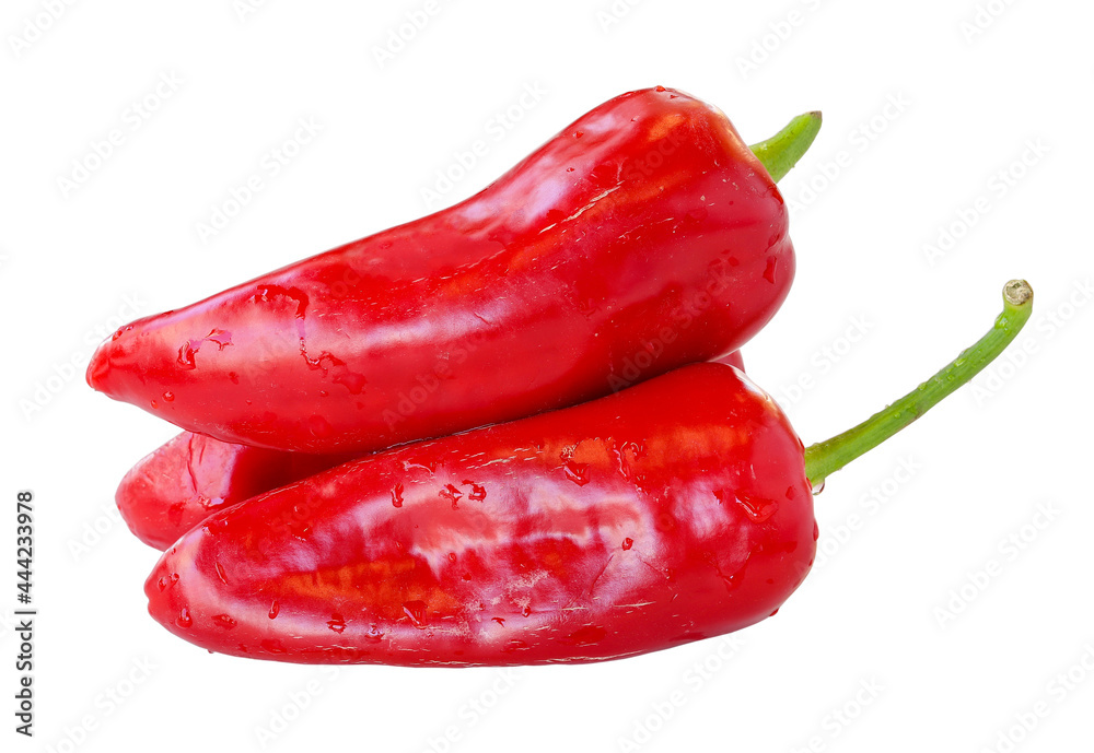 Red pepper isolated on white background. Red pepper Clipping Path