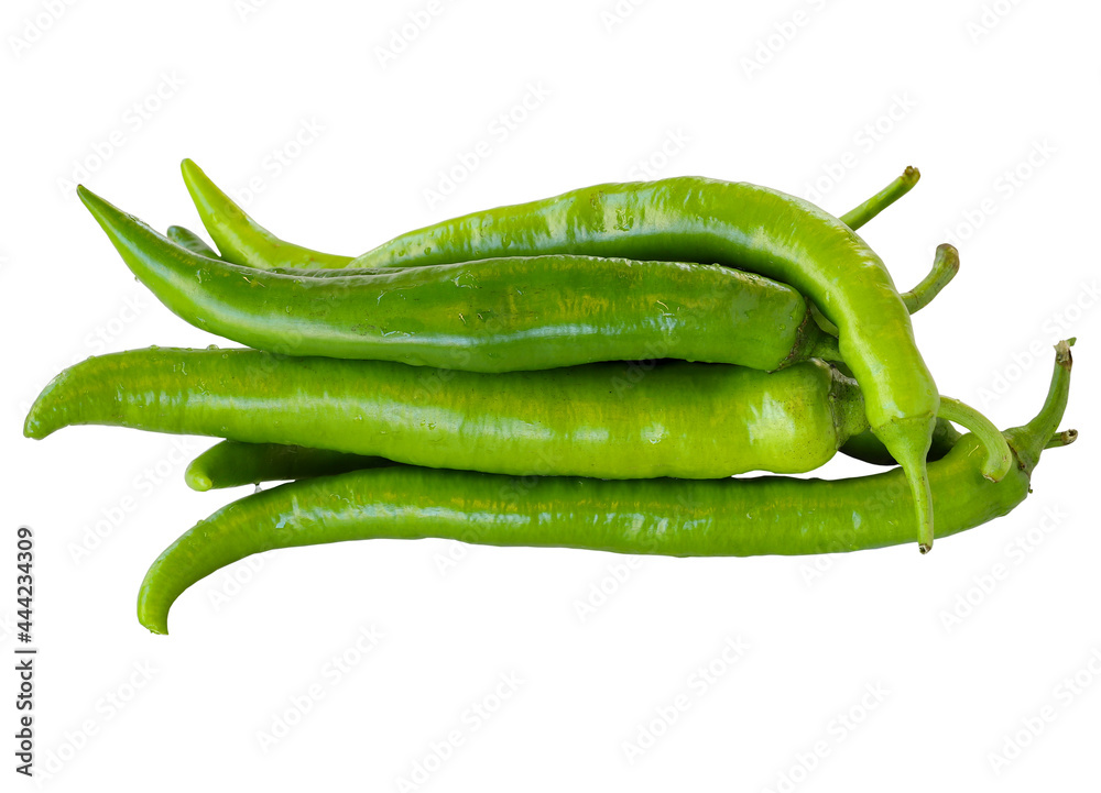 Green chili pepper isolated on a white background. Black pepper Clipping Path. Green chili pepper isolated on a white background. Black pepper Clipping Path.