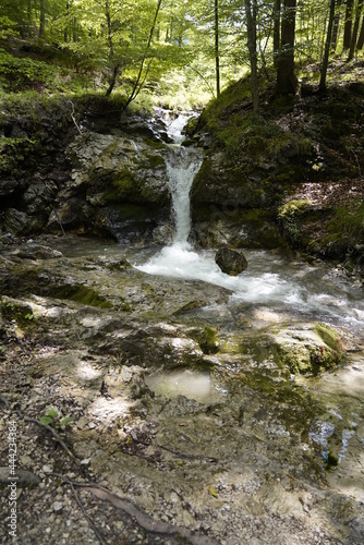 Fototapeta Naklejka Na Ścianę i Meble -  Kesselberg Wasserfall in Kochel am See