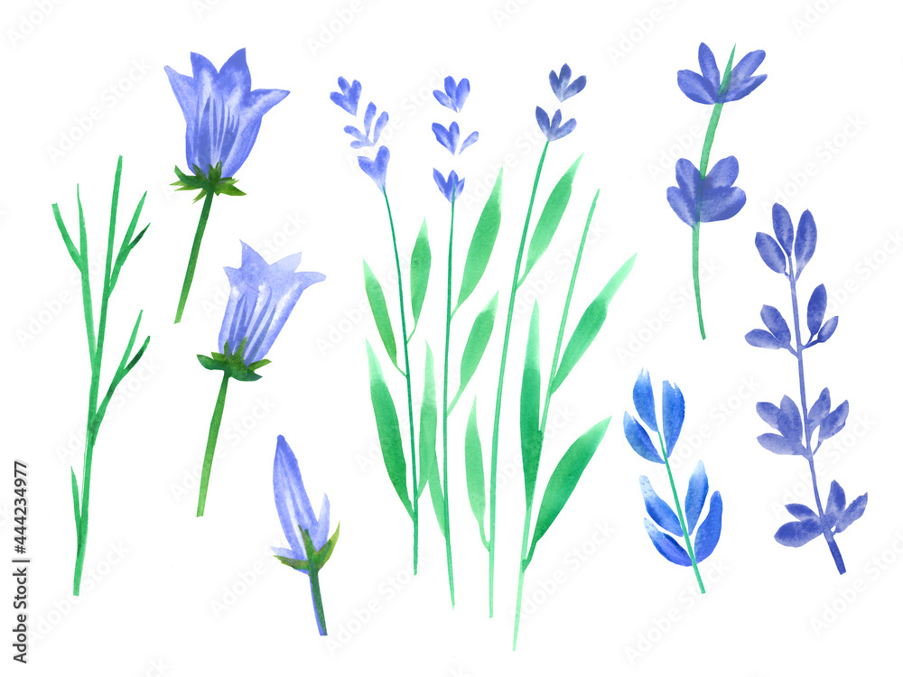 Cute set of watercolor plants, wildflowers, lavender, bells. Hand draw full color illustrations for patterns, cards, congratulations, design. 