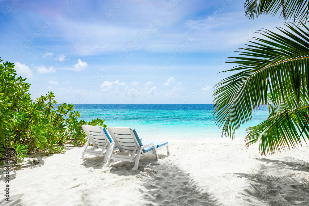 Perfect and beautiful white sand beach in Maldives or Seychelles Islands. Coconut Palm trees and beach lounger against blue sky, turquoise ocean. Sunny day. Travel nature landscape background.