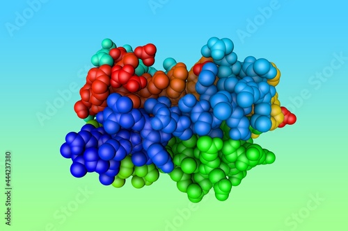 Molecular structure of human interleukin-6, pro-inflammatory cytokine and anti-inflammatory myokine. Rendering based on protein data bank. Rainbow coloring from N to C. 3d illustration photo