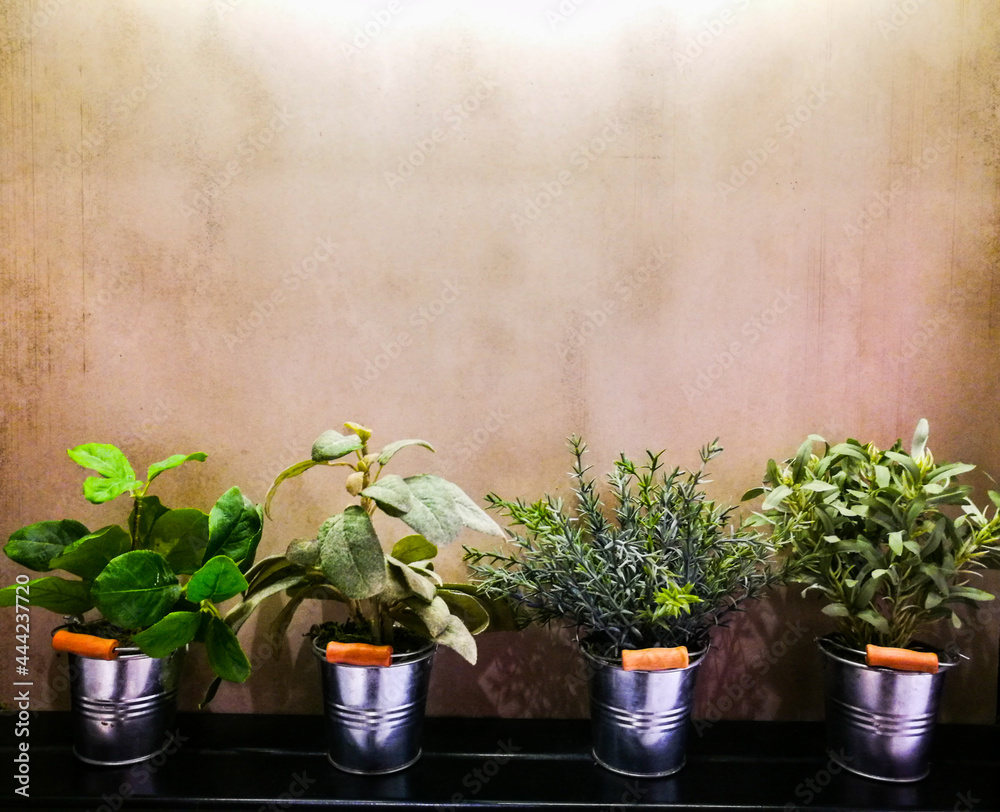 Four Small trees in metal pot for house decoration. Four Small trees in metal pot for house decoration.