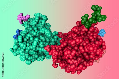 Molecular model of alpha-galactosidase, enzyme that associated with Fabry disease. Rendering with multi-colored protein chains based on protein data bank. 3d illustration