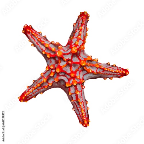 Red starfish isolated on white background. Watercolor sea star. 