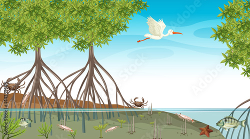 Animals live in Mangrove forest at daytime scene