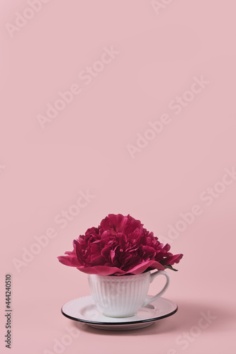 minimalistic modern still life on a pink background. mug with coffee and peony flower. festive concept with place for text