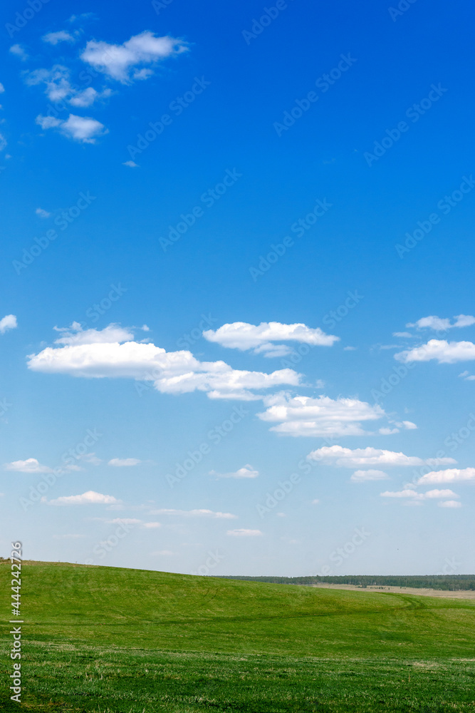 gorgeous nature landscape in summer gorgeous nature landscape in summer