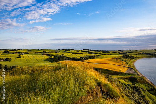 Fototapet Mors, Denmark Agricultural landscape of the Mors island in central Denmark and the Limfjord