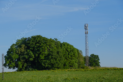 Ein Sendemast für Mobilfunk steht neben einem kleinen Waldstück in der Landschaft / Mobilfunk-Sendemast im Sommer photo