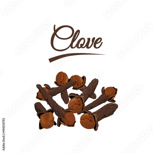 Vector illustration, pile of cloves (Syzygium aromaticum), isolated on white background.