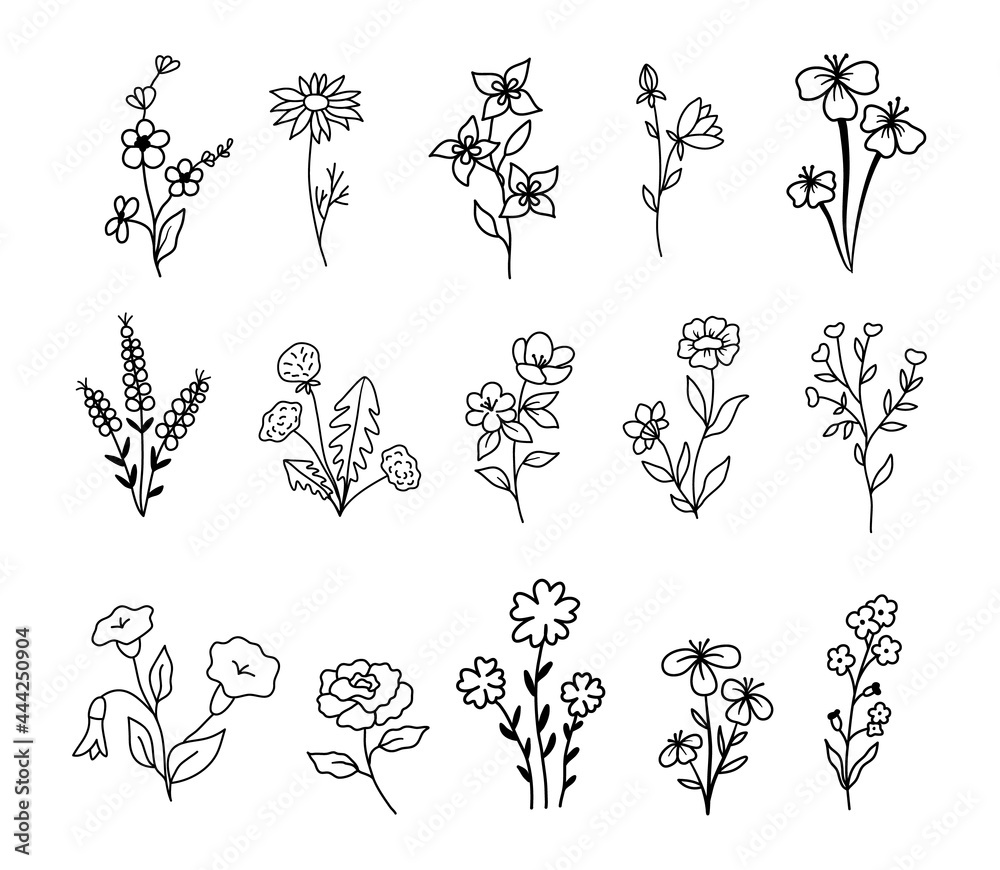 Wildflowers and flowers collection, drawing, line art, vector illustration. Set of Isolated plants in outline style