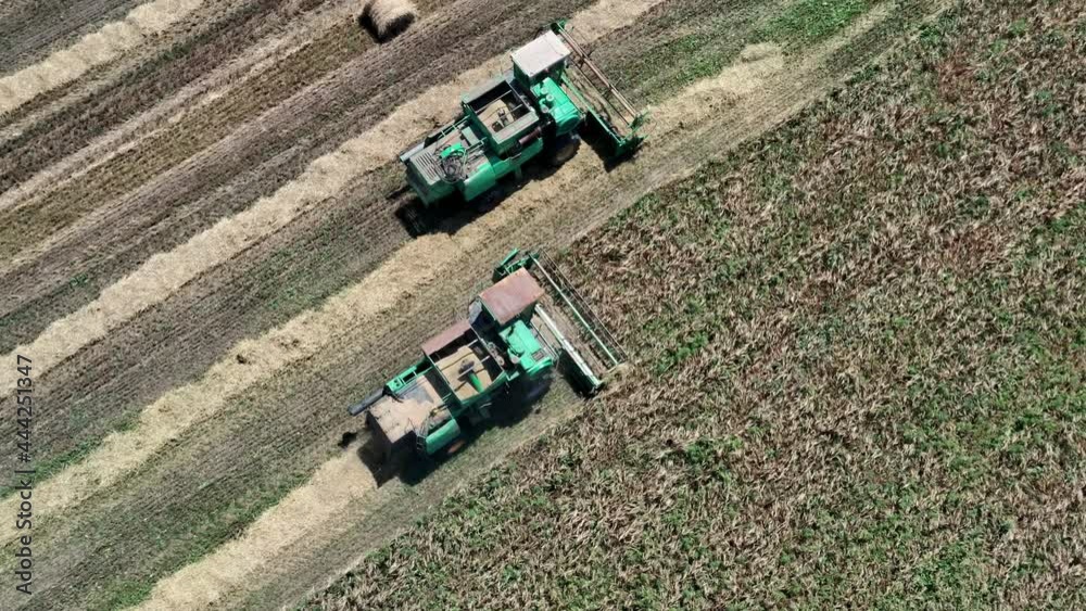 Combines in the field. Aerial view of harvesters. Season of gathering crops. Rye and barley. Autonomous transportation in agriculture. Top down view of Harvester machines working in wheat field. Combines in the field. Aerial view of harvesters. Season of gathering crops. Rye and barley. Autonomous transportation in agriculture. Top down view of Harvester machines working in wheat field.