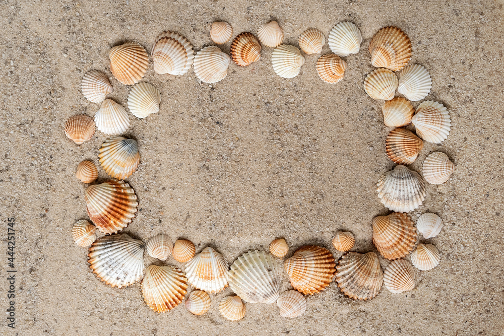 Obraz premium ribbed shells on the sandy beach laid out like a frame