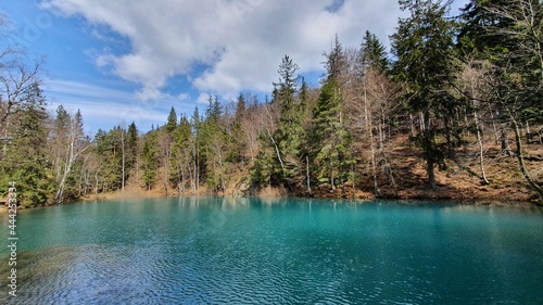 colored lake in the wood © lokomotiv48