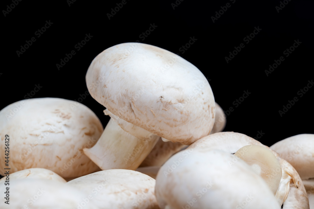 unwashed mushrooms champignon during cooking unwashed mushrooms champignon during cooking